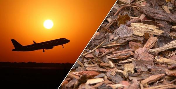 EU Rules Risk Energy-Intensive SAF Production Strategies