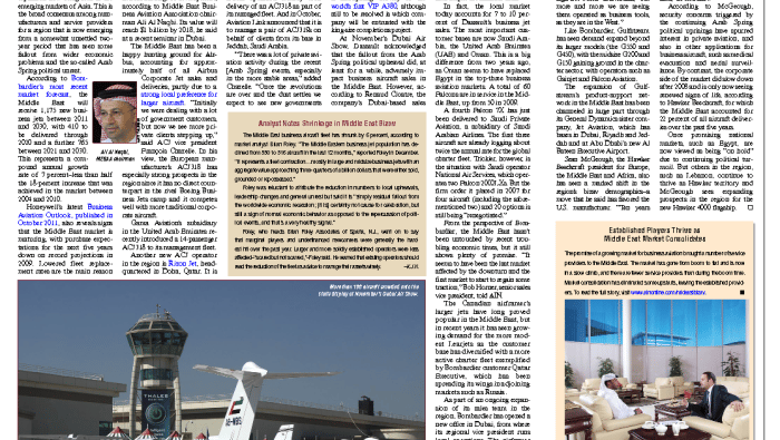 PDF preview image