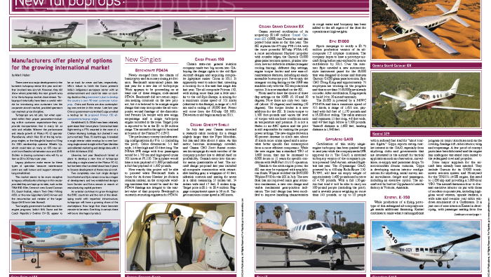 PDF preview image