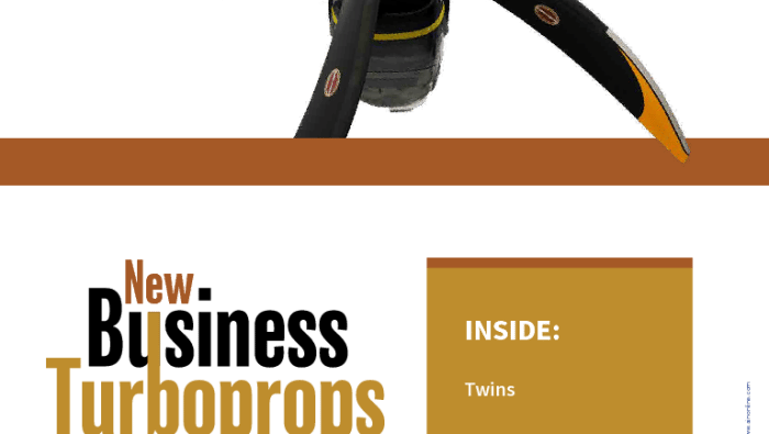 PDF preview image