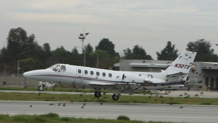 Citation jet bird strike through flock of birds