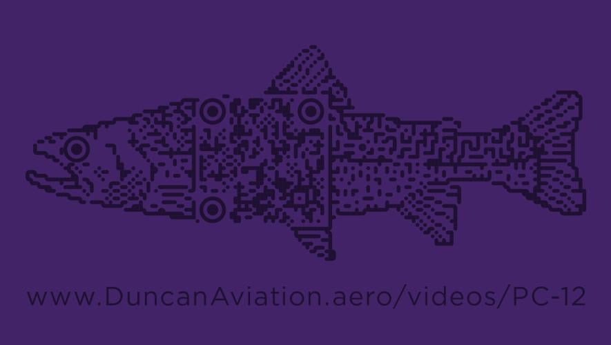 Duncan Aviation PC-12 paint scheme