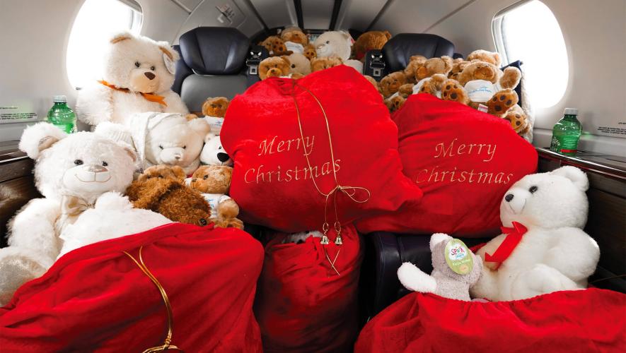 teddy bears fill an airplane cabin