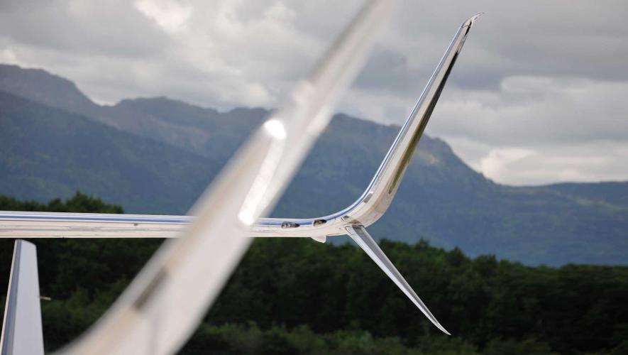 Winglet