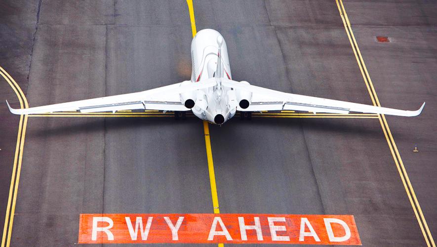 Falcon on runway