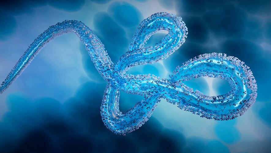 Ebola