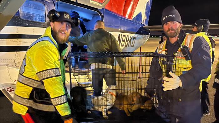 Line techs at Modern Aviation's KFOK FBO unloading dog cages