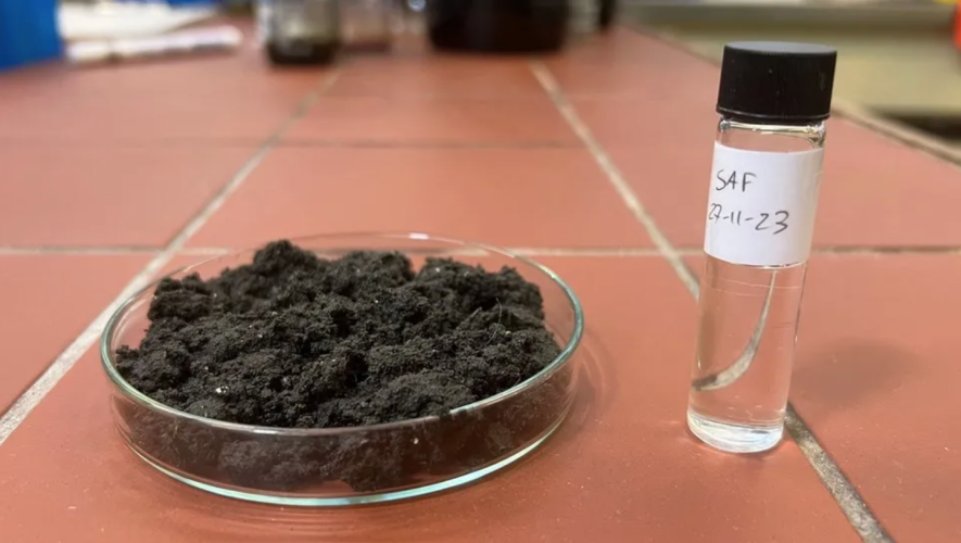Sewage biosolid and flask of SAF