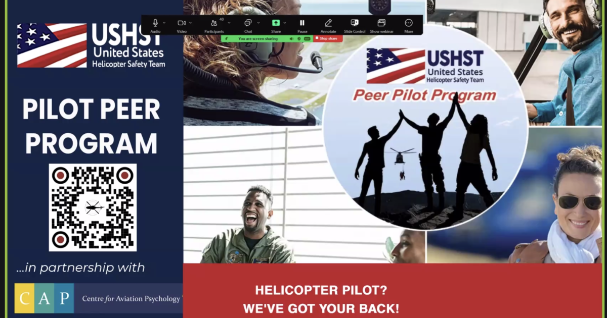 screenshot from the pilot peer program webinar Jan 6 2026