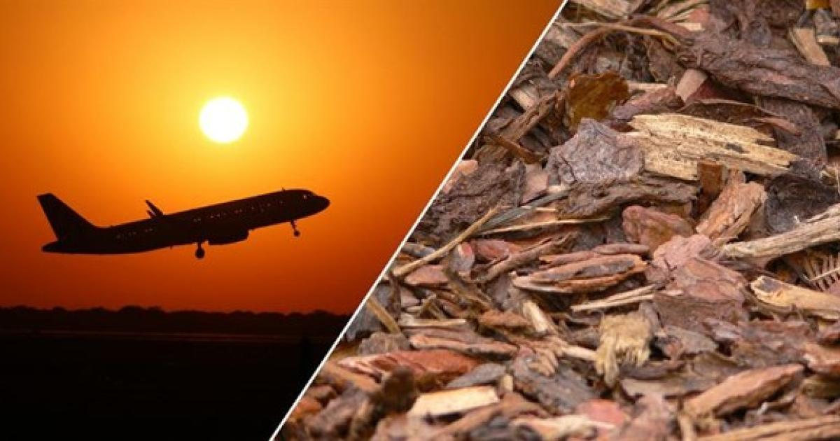 Aircraft alongside wood-chip 