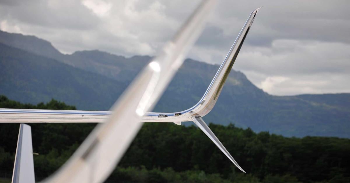Winglet