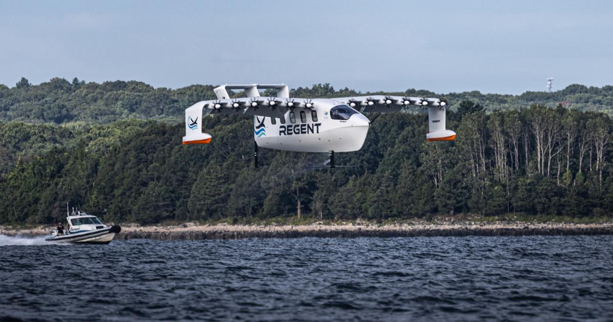 Viceroy glides above the water