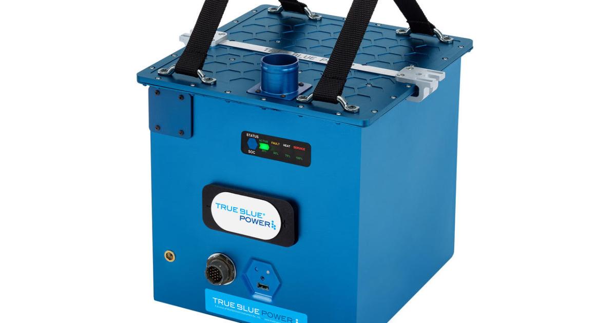 An image of True Blue Power's lithium ion battery against a white background