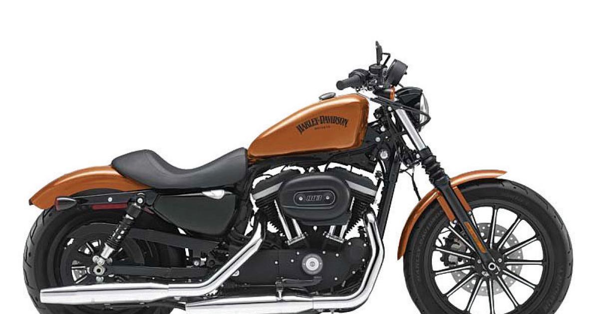 This year's raffle prize is a 2014 Harley Davidson Iron 883N Sportster.