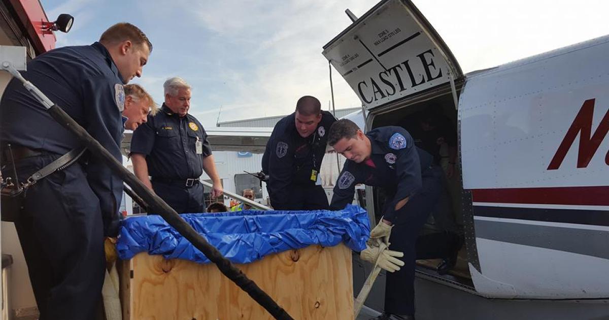 Castle Aviation provided a Grand Caravan to fly three stranded sea turtles from Atlantic City, N.J., to the Marine Mammal Stranding Center in Beaufort, N.C. Photo: John Greenfield