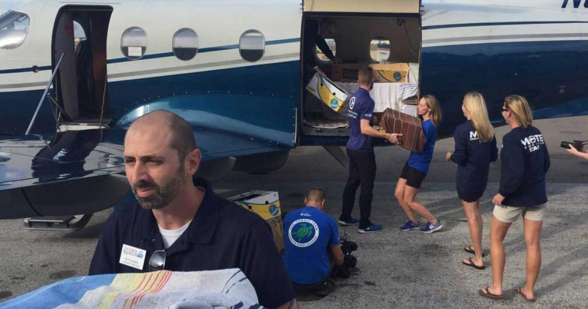 Animal care workers unload crated sea turtles from a business aircraft at a Florida airport. The creatures, weakened by their exposure to cold Massachusetts fall weather, will recuperate for several months before they are released back into the wild.