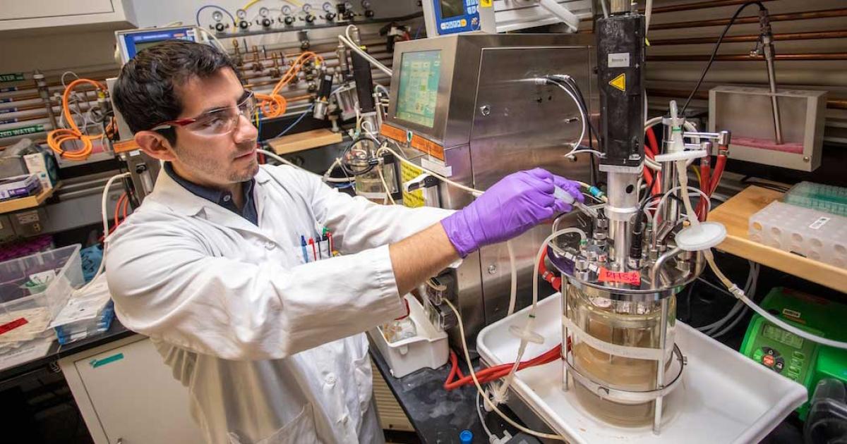 Project scientist Daniel Mendez works on lab-scale bio-jet-fuel production at the Joint BioEnergy Institute in Emeryville, CA. (Photo: Marilyn Chung/Berkeley Lab)