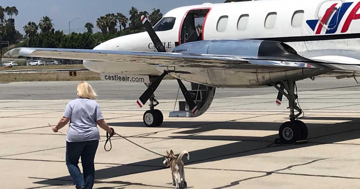 PuppySpot, which matches customers with highly vetted dog breeders across the U.S., has turned to private aviation to deliver baby hounds to their new homes.