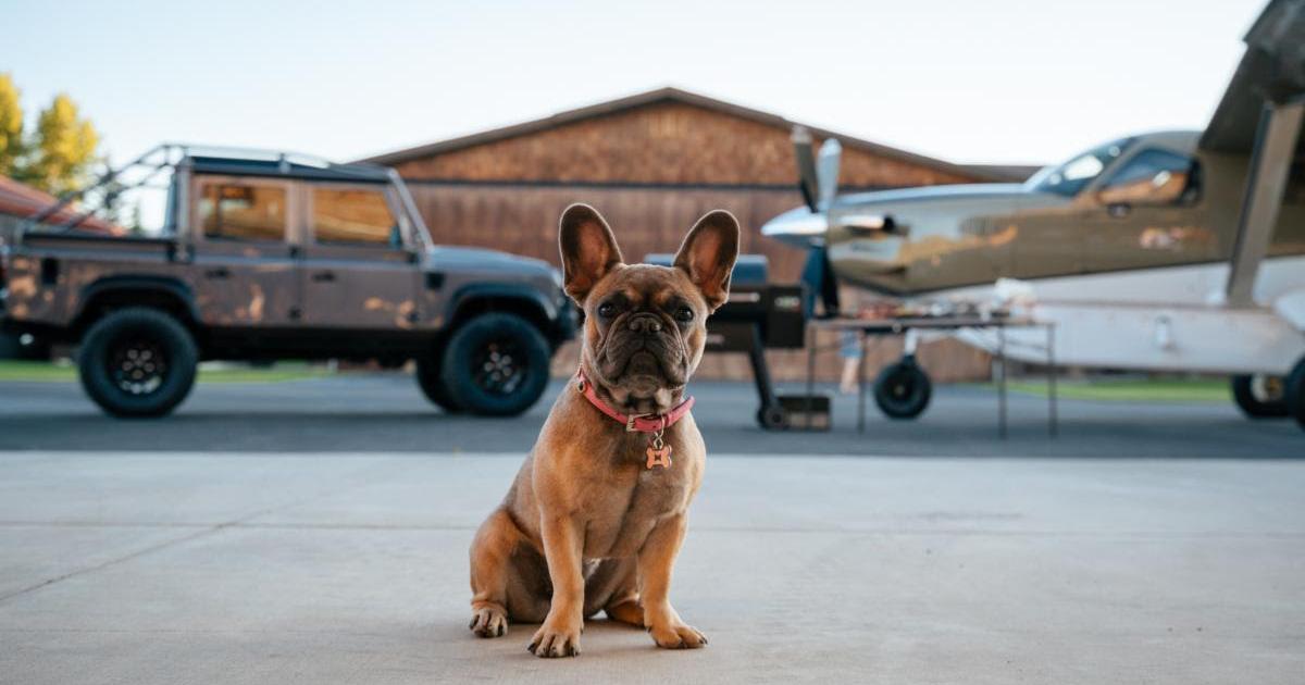 In addition to pairing a specially-outfitted Daher Kodiak 100 Series II with the Himalaya Defender 110 Land Rover, the package that Daher and Himalaya are offering includes a personalized trip to the Himalaya’s new Experience Center in Alpine, Wyoming, all for $3 million—sorry, dog not included. (Photo: Himalaya)