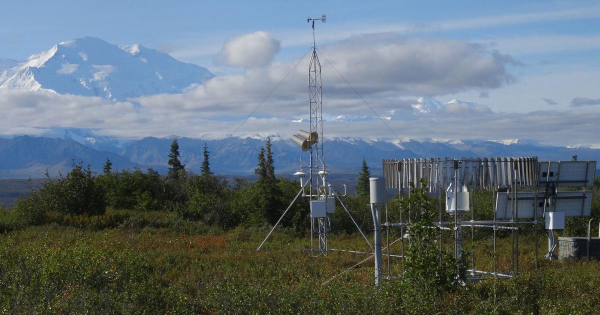The Denali USCRN station with (from left to right) the station’s main instrument tower, precipitation gauges, and power systems in addition to Denali (Mt. McKinley) in the background. (Photo: NOAA)
