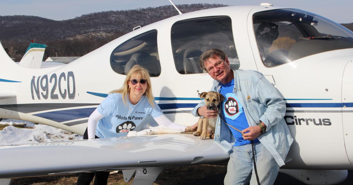 Pilots N Paws' registered volunteer rescue pilots will receive fuel price discounts at Sheltair FBOs when conducting animal rescue flights. The discounts will apply not only to four-legged animal rescues but four-flippered as well, such as in the case of sea turtles. (Photo: Pilots N Paws"
