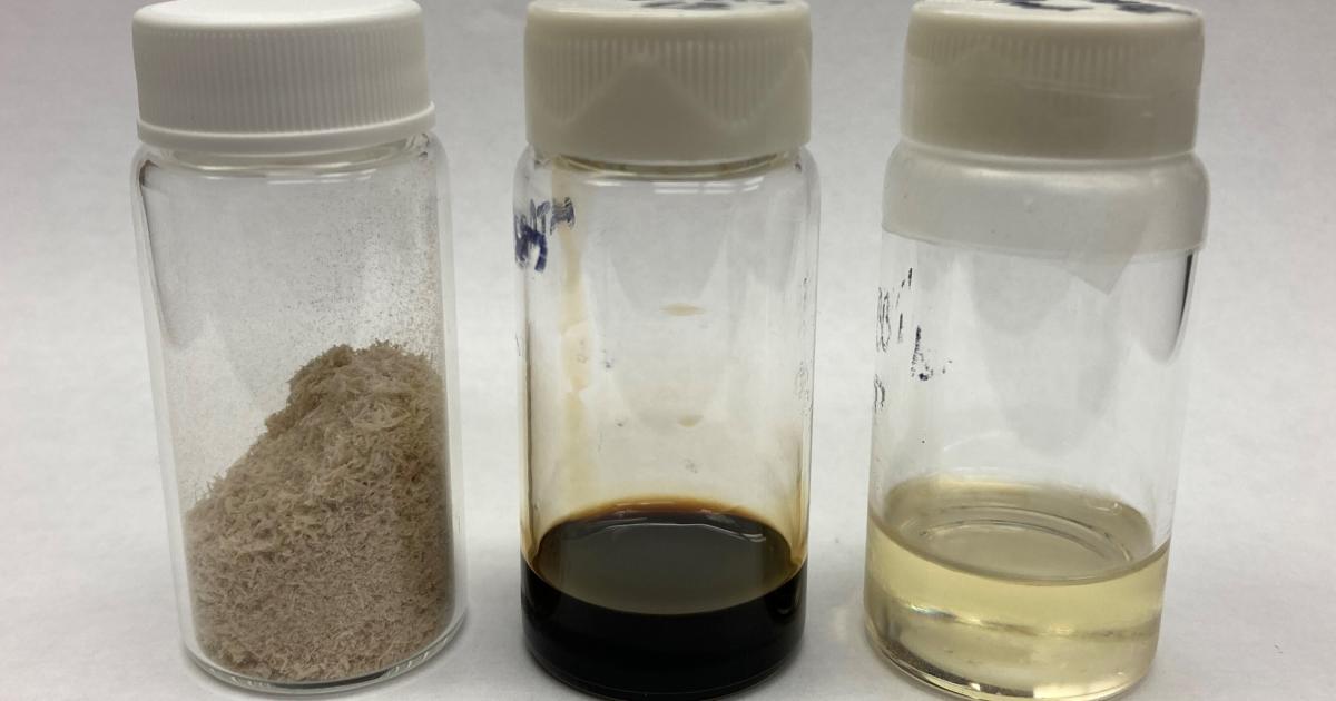 Vials show the progression from dry lignin, to lignin oil, to processed SAF feedstock. (Photo: NREL)