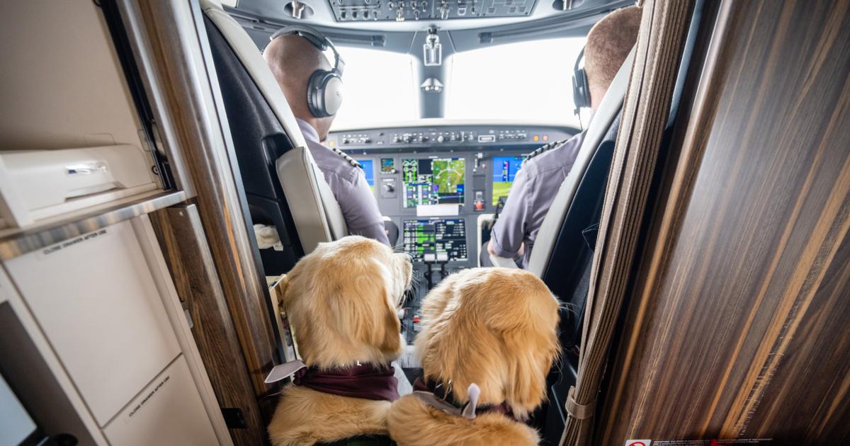Specially-trained hospital patient therapy dogs Loki and Natasha observe the activity in the cockpit during their flight on a Flexjet Praetor 500 from Atlanta to Cleveland. (Photo: Flexjet)